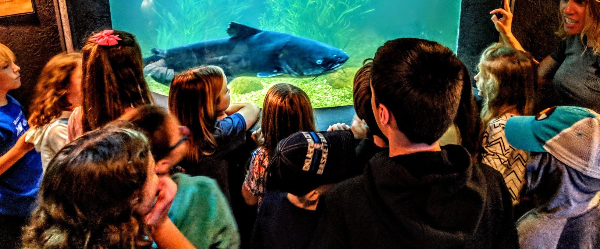 Children ar museum