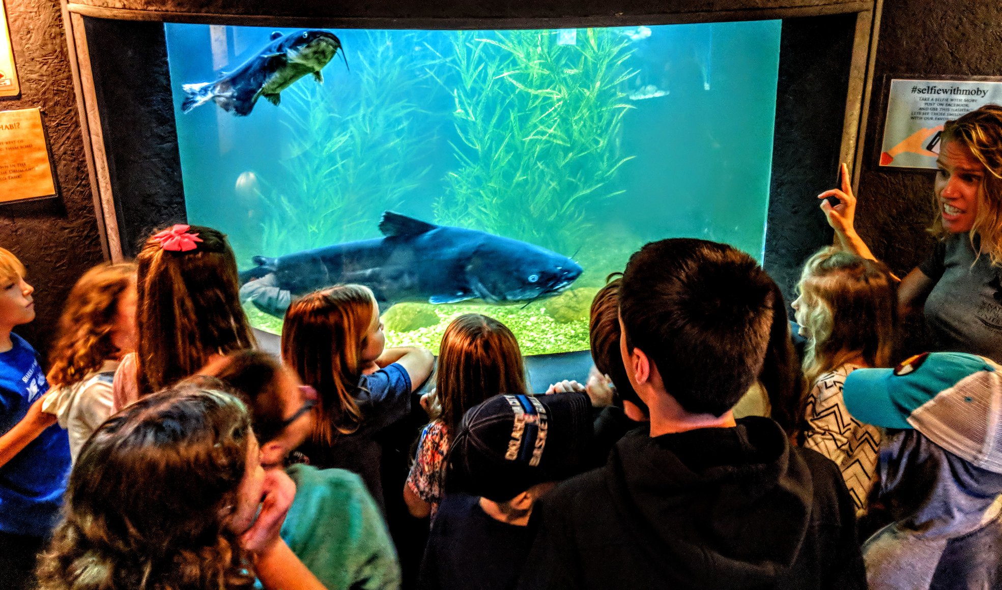 Aquarium_Kids (2)