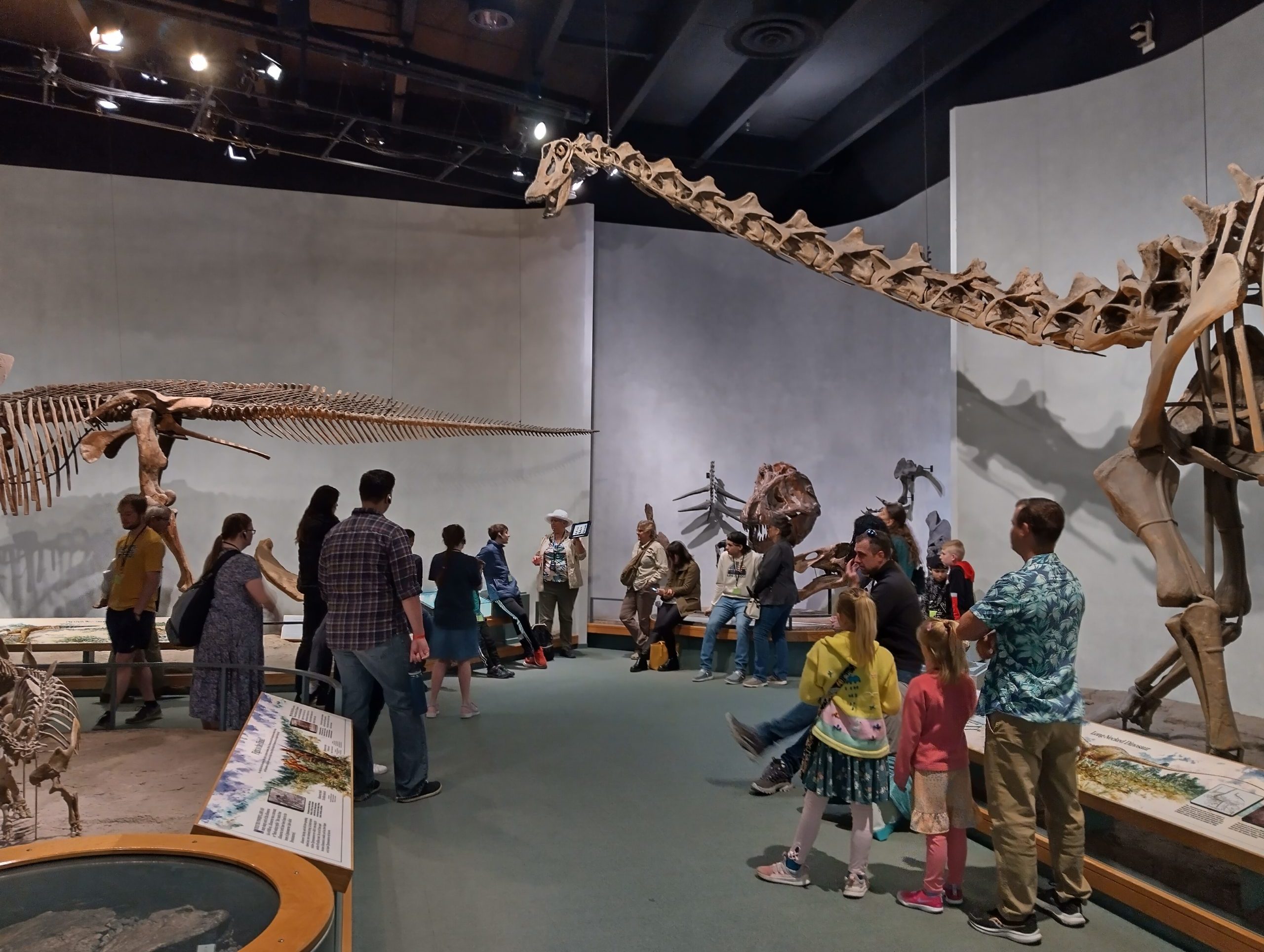 Museum interior with visitors looking at dinosaur fossils and skeletons along a display wall.